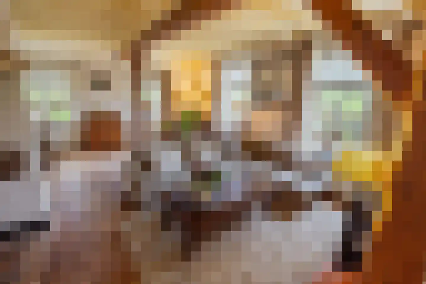 De Bocht 4 Boxtel thumbnail 13