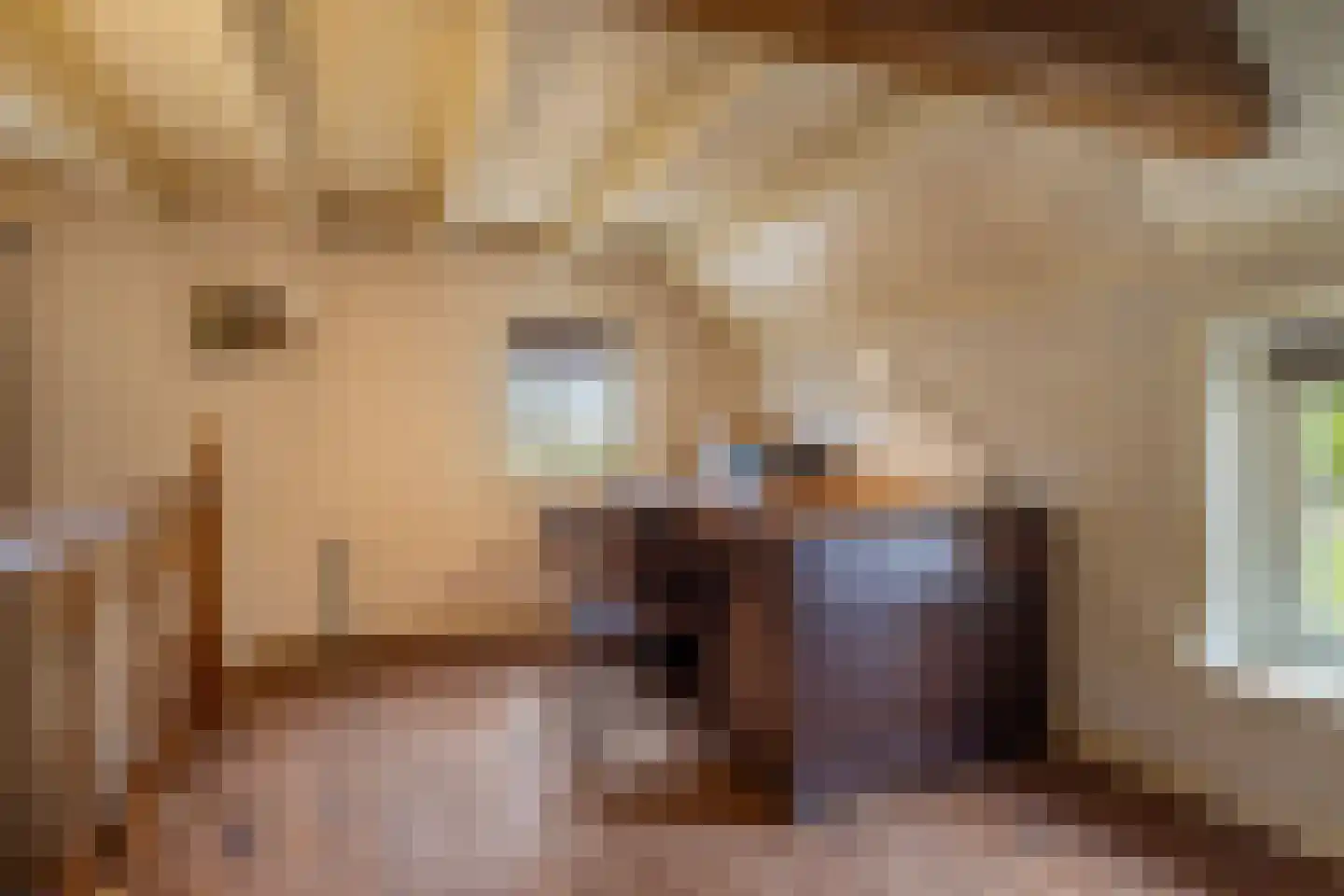 De Bocht 4 Boxtel thumbnail 14
