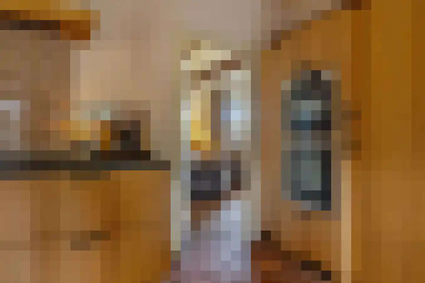 De Bocht 4 Boxtel thumbnail 18