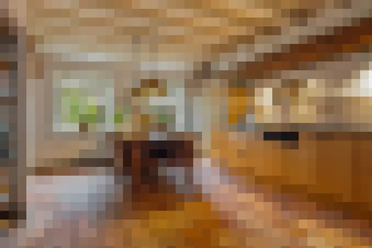 De Bocht 4 Boxtel thumbnail 20