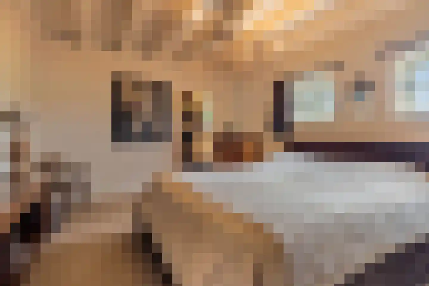 De Bocht 4 Boxtel thumbnail 26