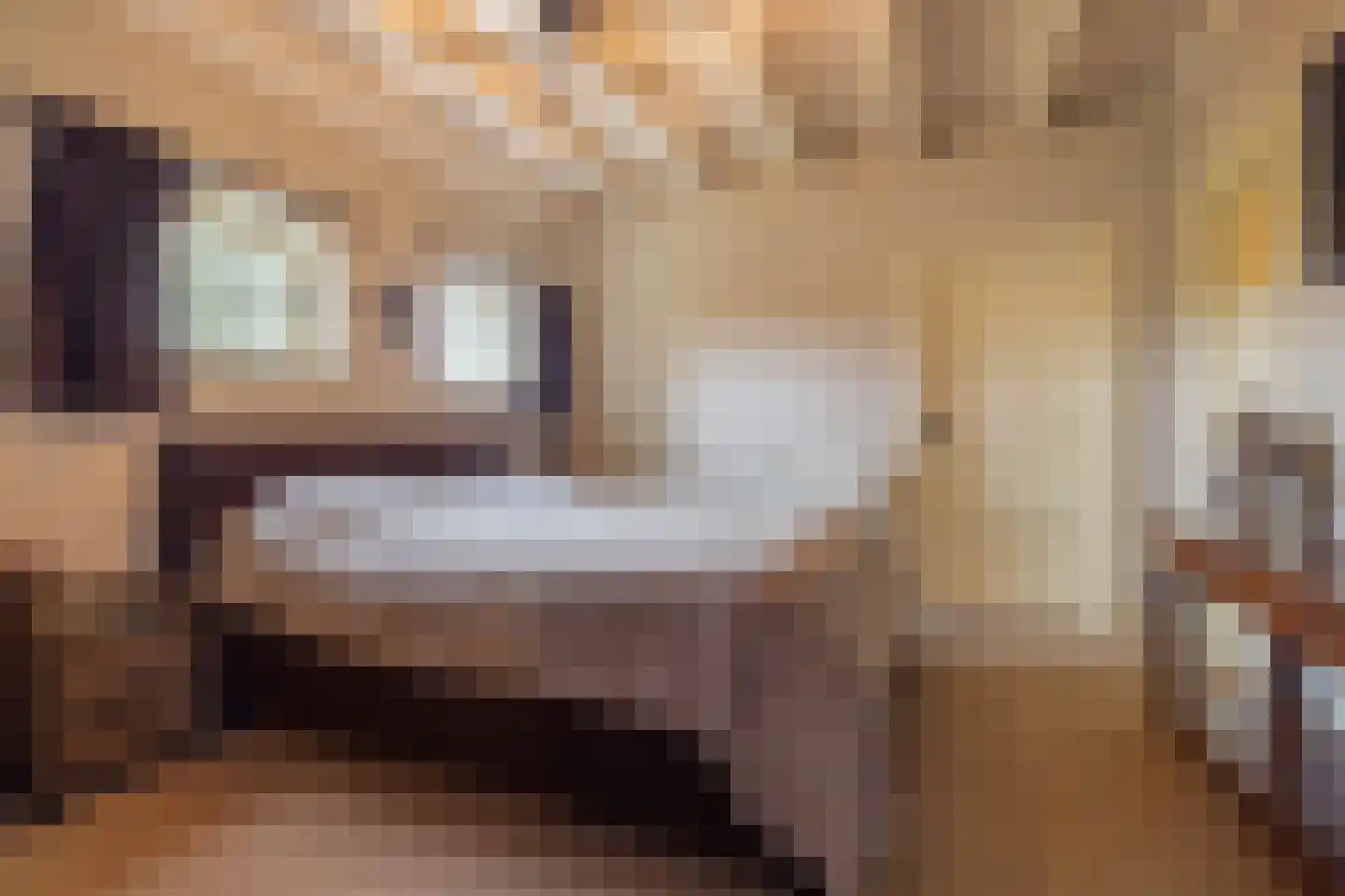 De Bocht 4 Boxtel thumbnail 27