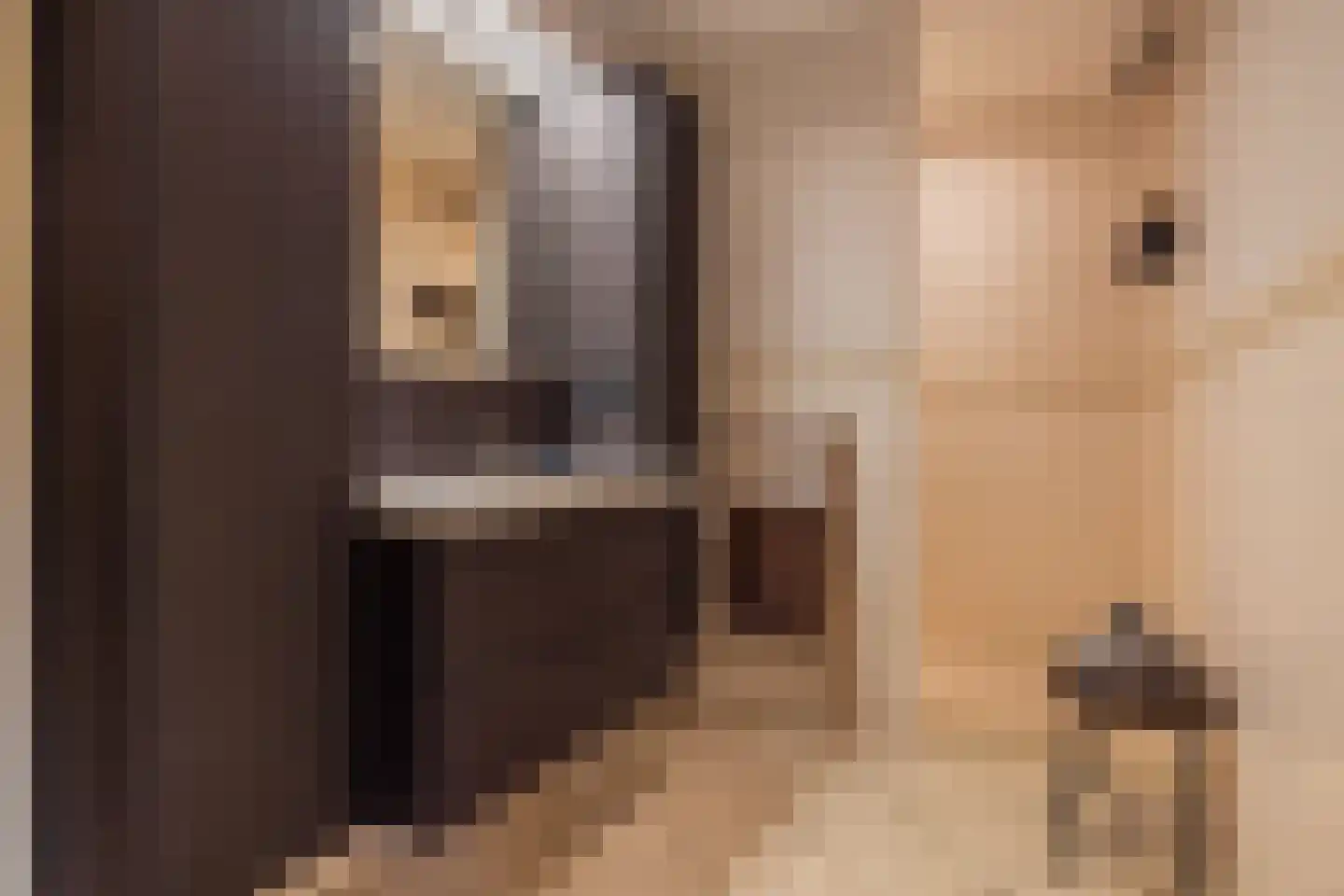 De Bocht 4 Boxtel thumbnail 30