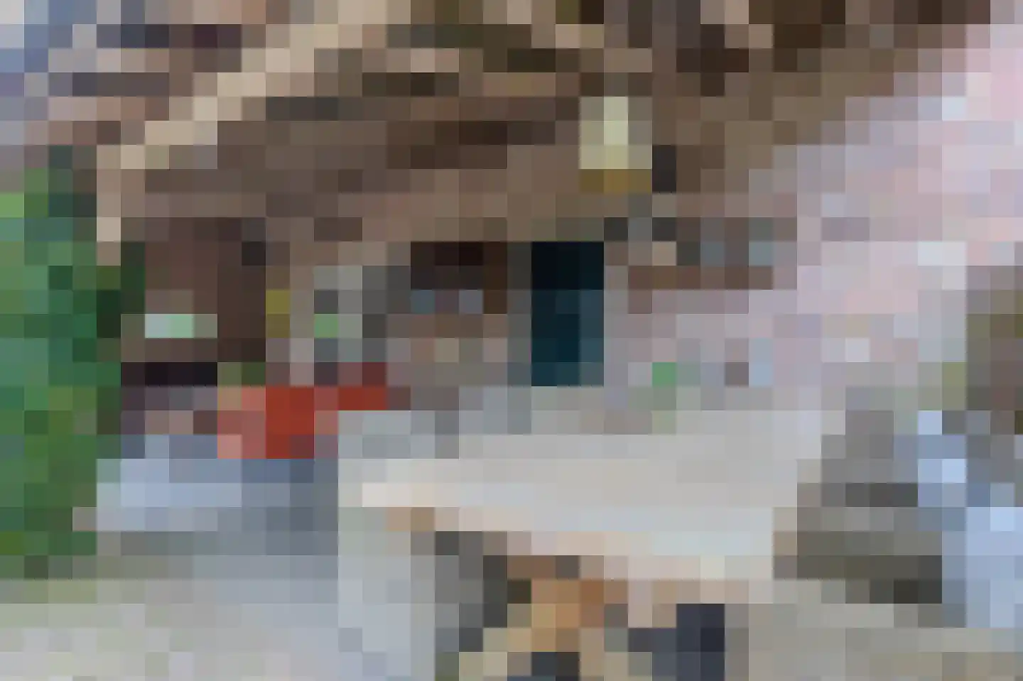 De Bocht 4 Boxtel thumbnail 52