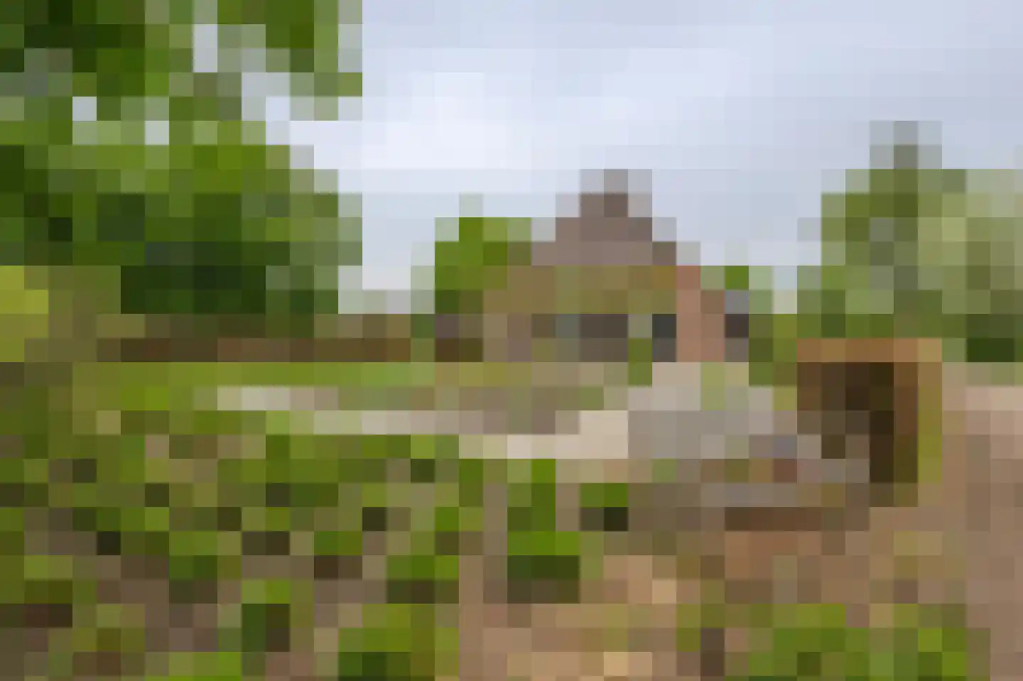 De Bocht 4 Boxtel thumbnail 61