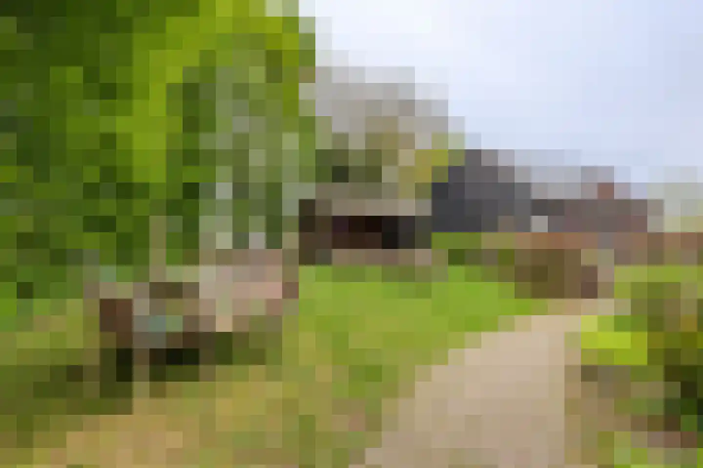 De Bocht 4 Boxtel thumbnail 64
