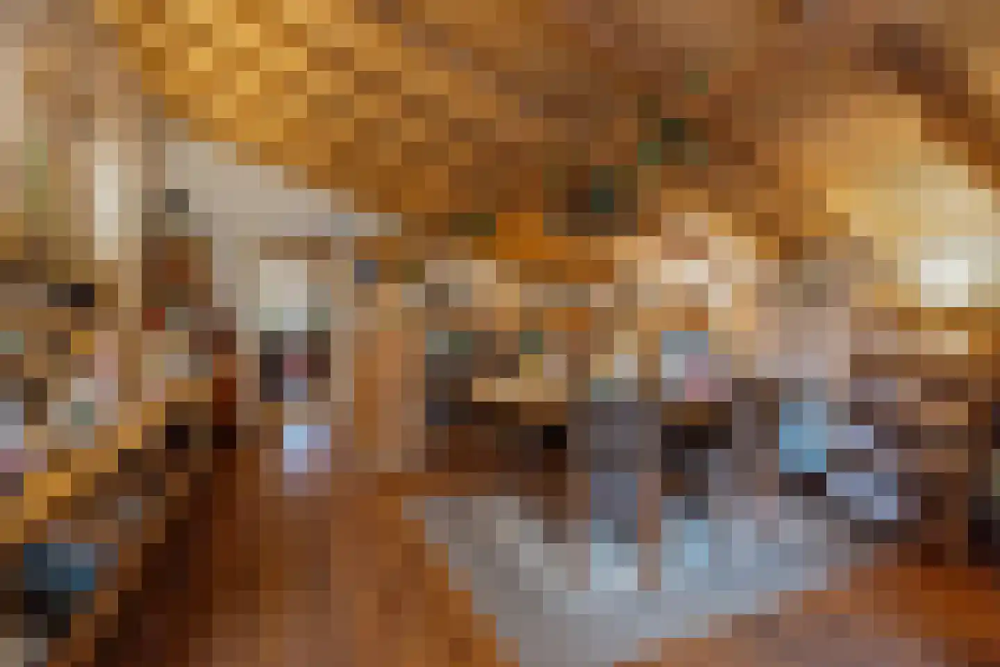 De Bocht 4 Boxtel thumbnail 67