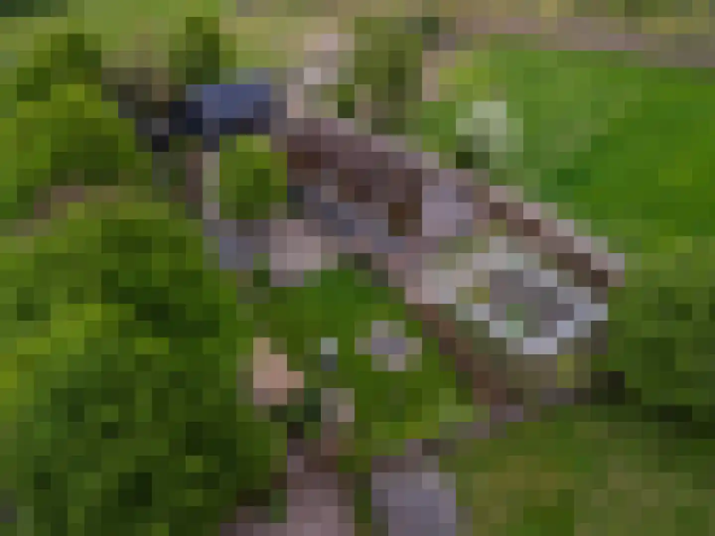 De Bocht 4 Boxtel thumbnail 81