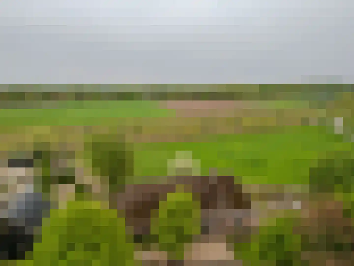 De Bocht 4 Boxtel thumbnail 83