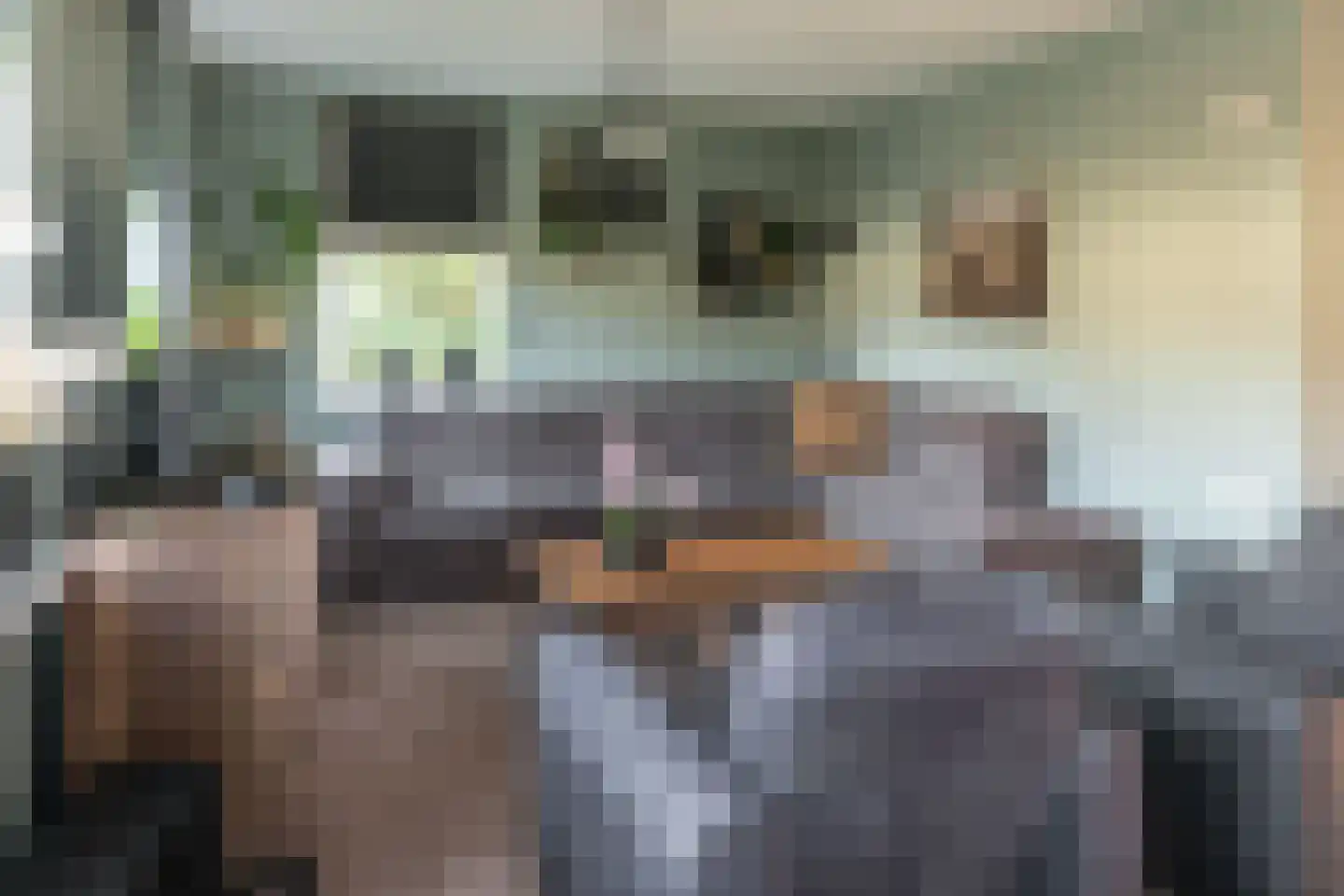 De Bodding 11 Frieschepalen thumbnail 10