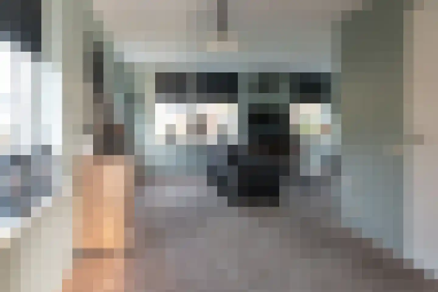 De Bodding 11 Frieschepalen thumbnail 12