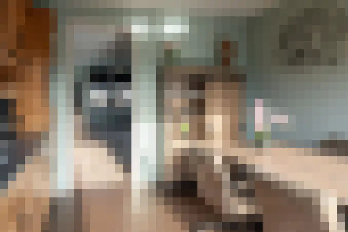 De Bodding 11 Frieschepalen thumbnail 15