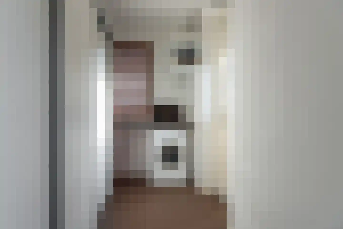 De Bodding 11 Frieschepalen thumbnail 16