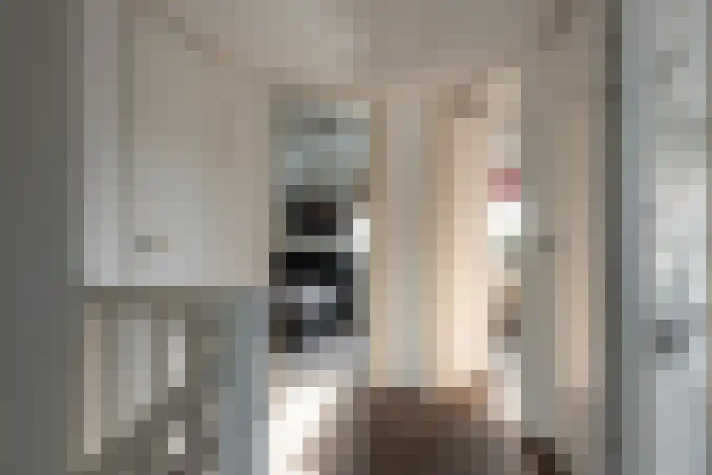 De Bodding 11 Frieschepalen thumbnail 20