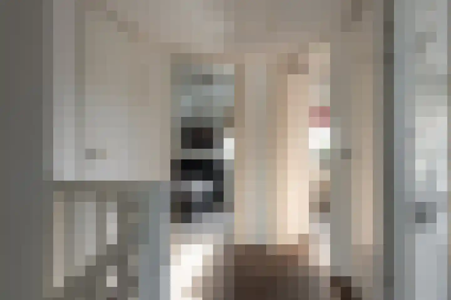De Bodding 11 Frieschepalen thumbnail 21