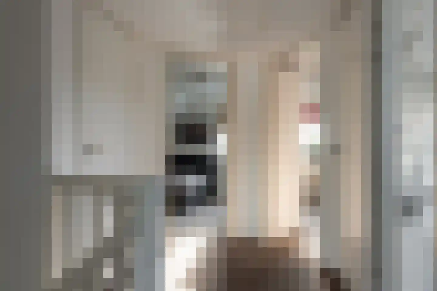 De Bodding 11 Frieschepalen thumbnail 22