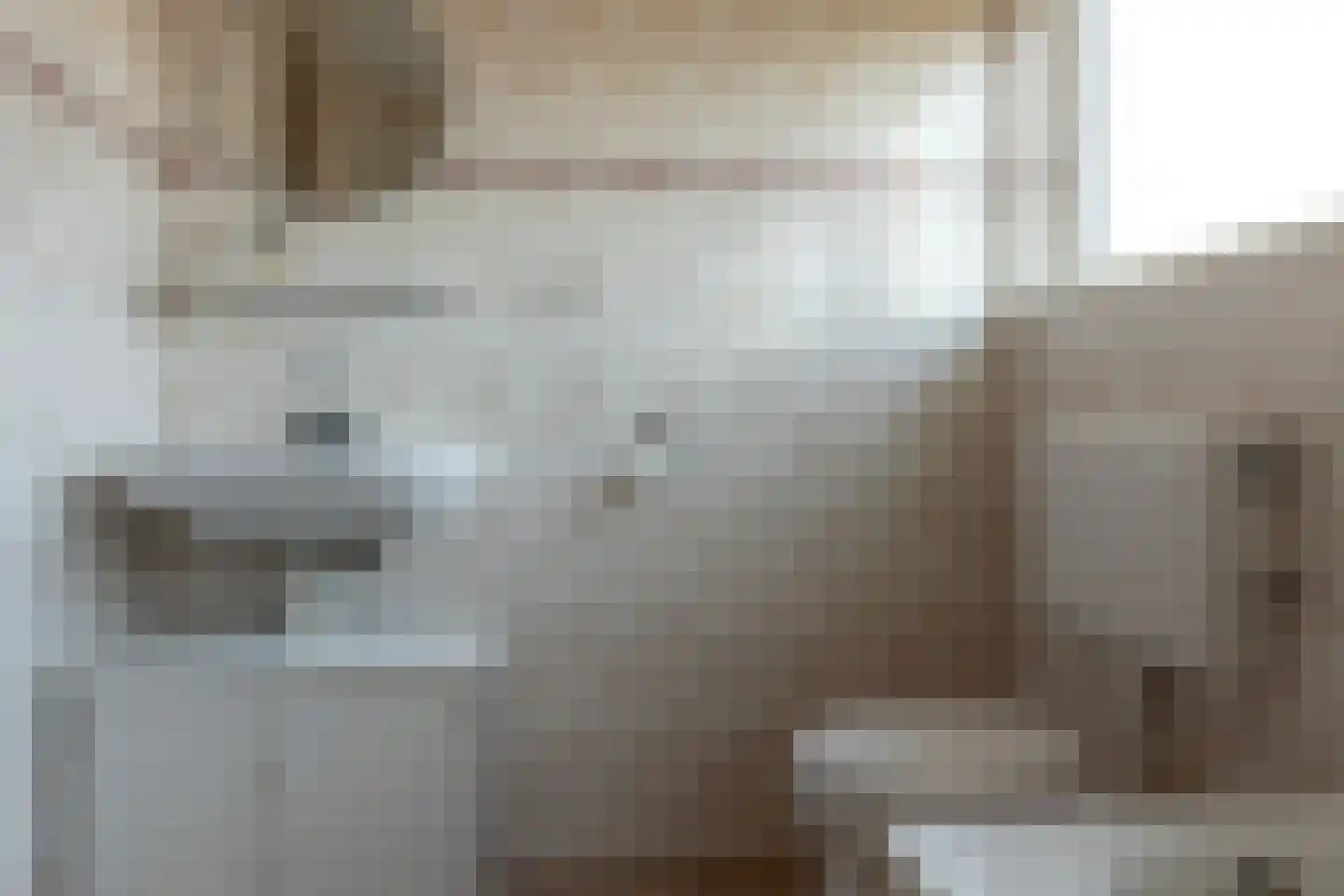 De Bodding 11 Frieschepalen thumbnail 25