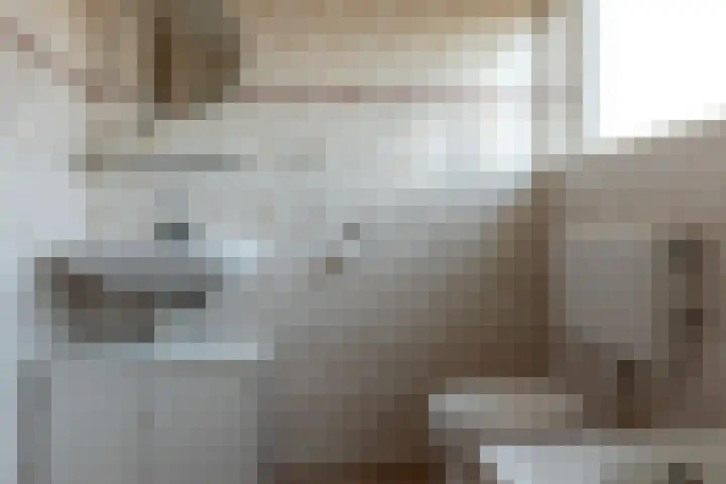 De Bodding 11 Frieschepalen thumbnail 28