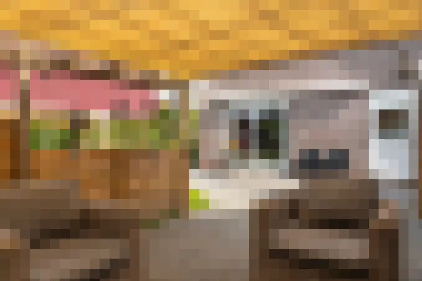 De Bodding 11 Frieschepalen thumbnail 34