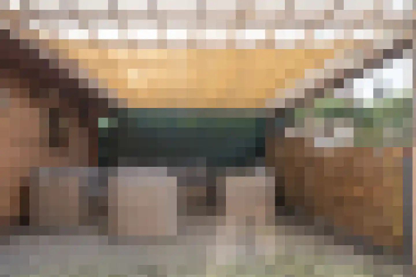 De Bodding 11 Frieschepalen thumbnail 36