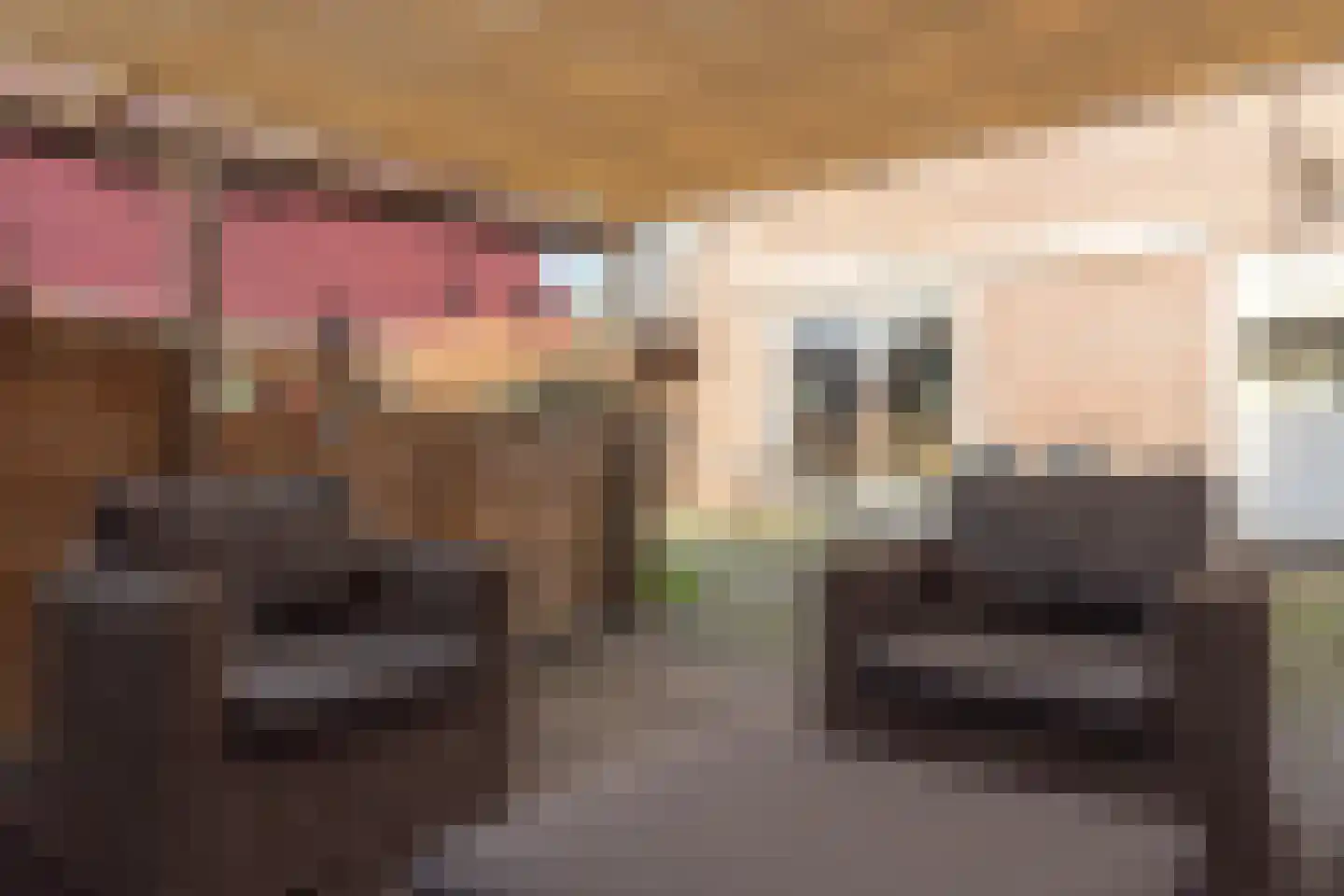 De Bodding 11 Frieschepalen thumbnail 37