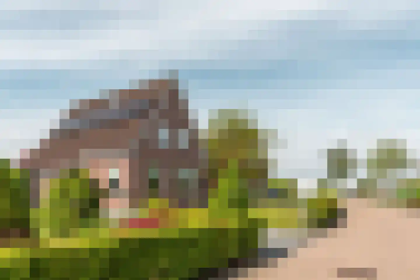 De Bodding 11 Frieschepalen thumbnail 37