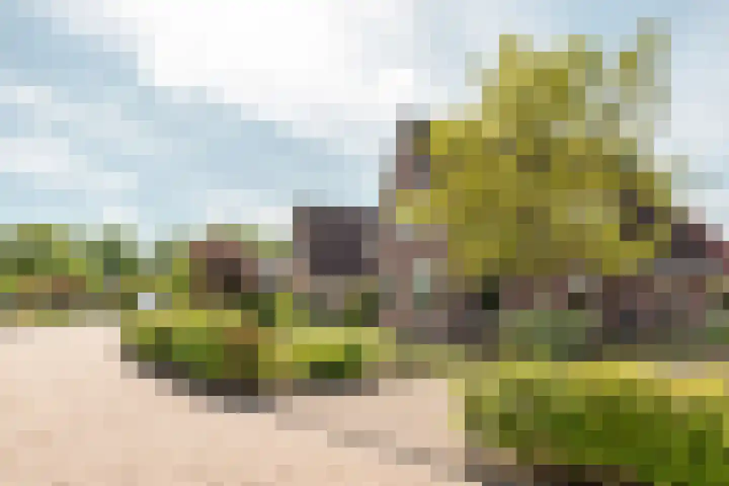 De Bodding 11 Frieschepalen thumbnail 38