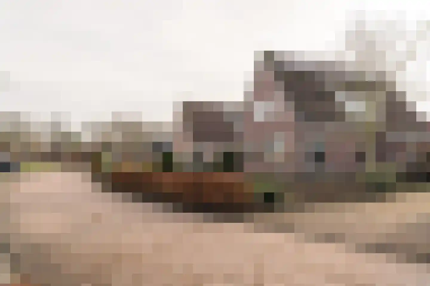 De Bodding 11 Frieschepalen thumbnail 40