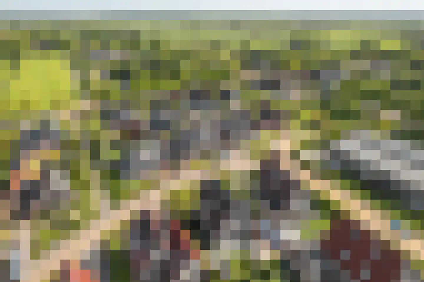 De Bodding 11 Frieschepalen thumbnail 42