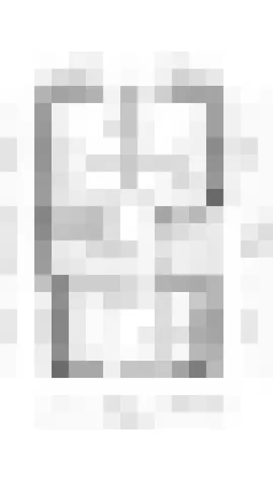 De Bodding 11 Frieschepalen thumbnail 42