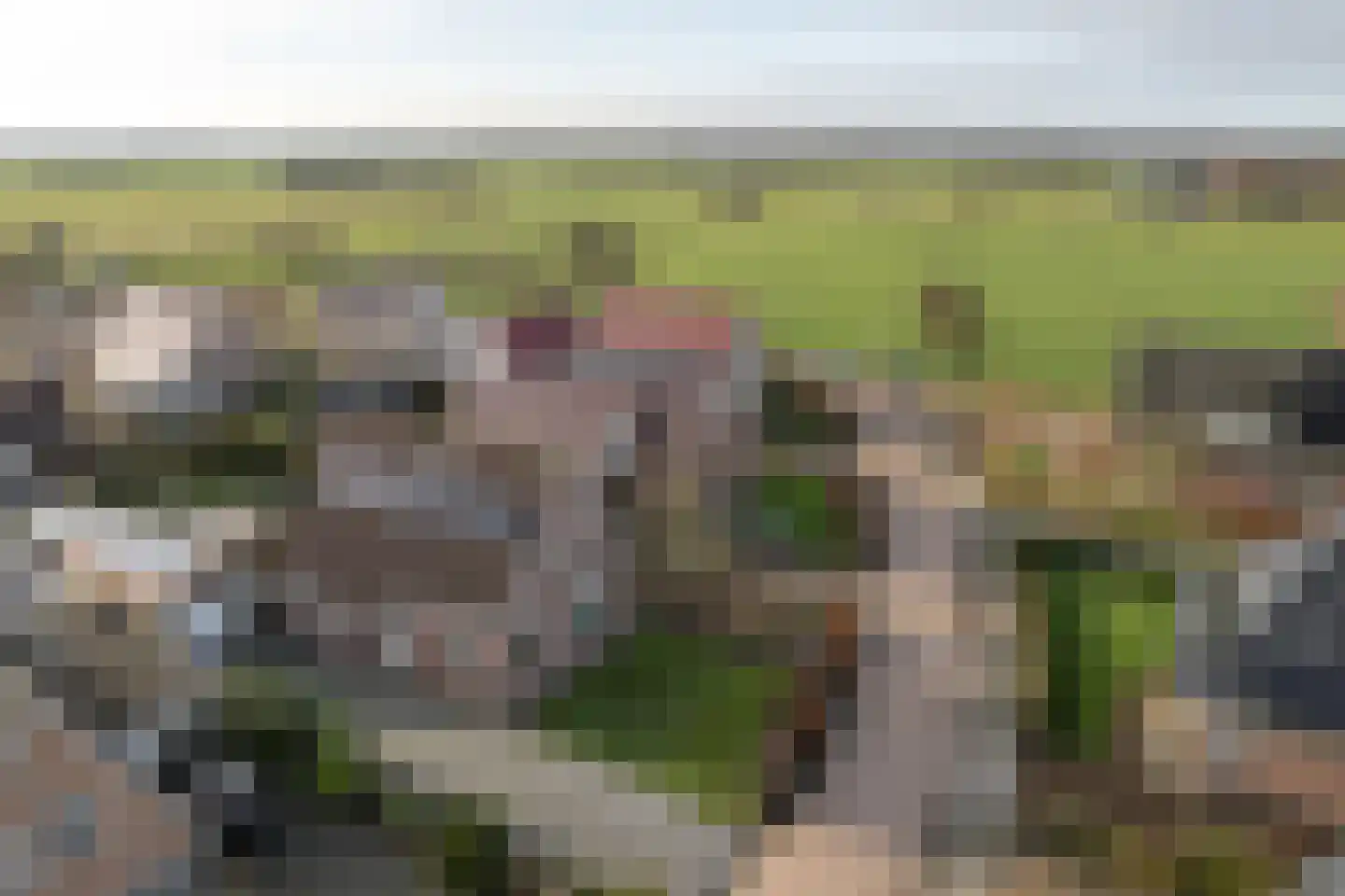 De Bodding 11 Frieschepalen thumbnail 45