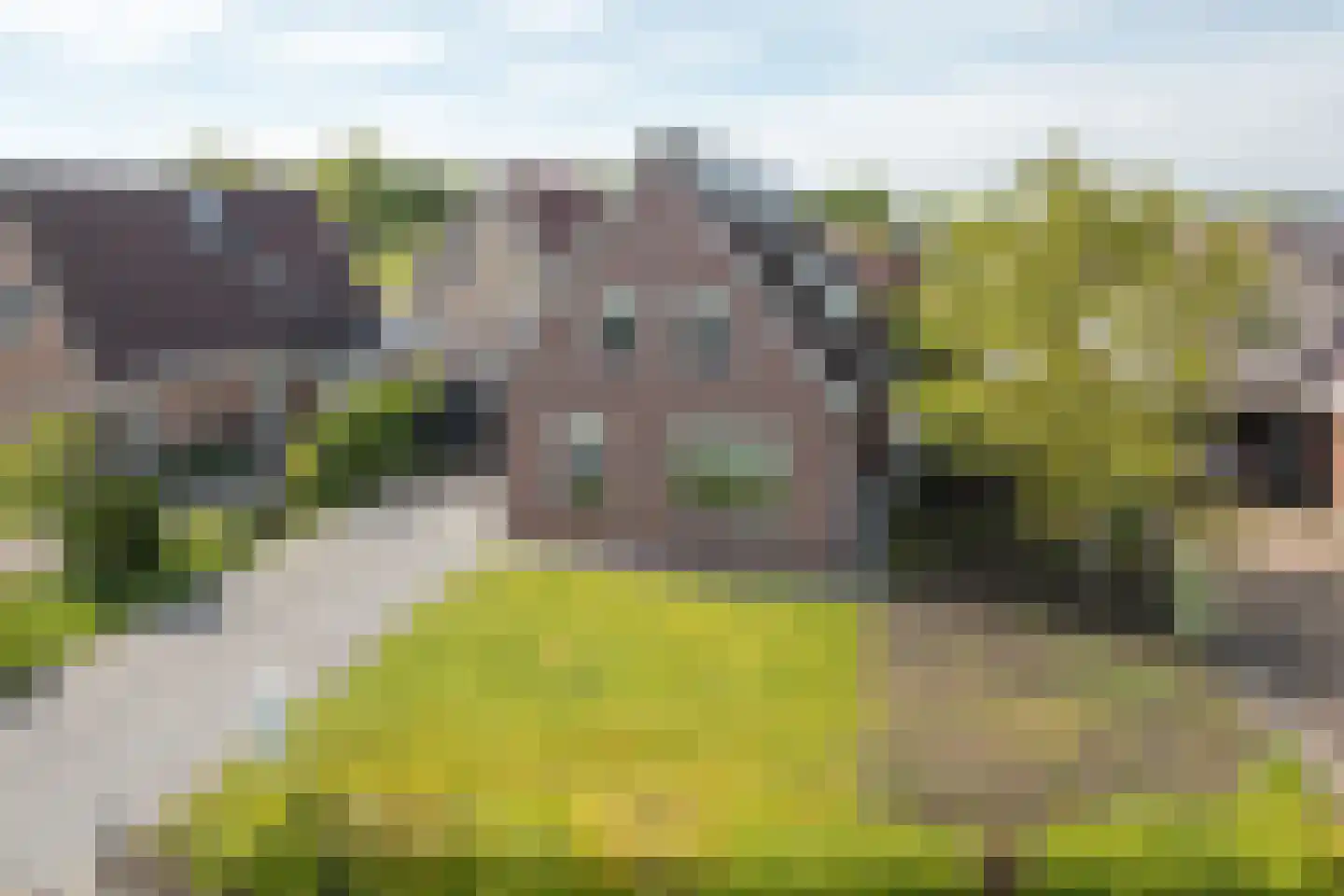De Bodding 11 Frieschepalen thumbnail 49