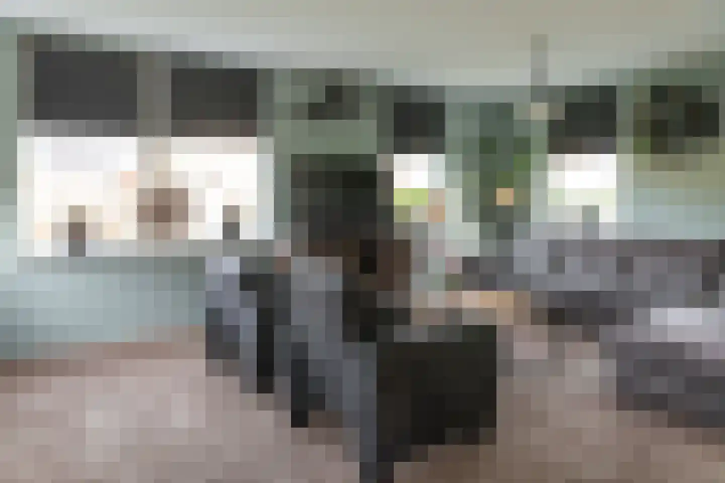 De Bodding 11 Frieschepalen thumbnail 8