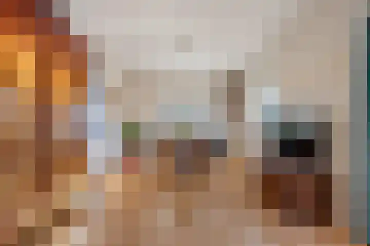 De Boech 12 Menaam thumbnail 12