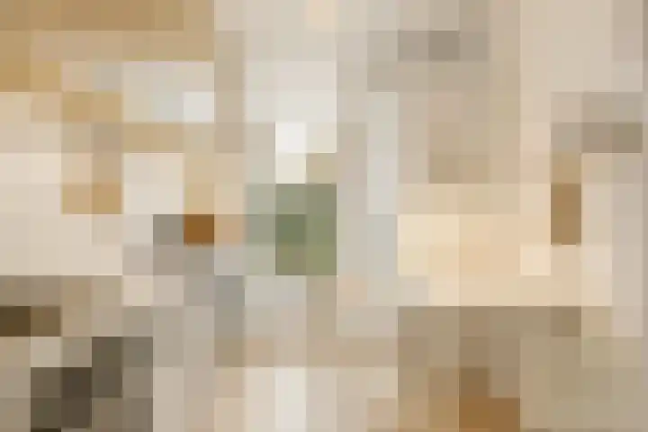 De Boech 12 Menaam thumbnail 14