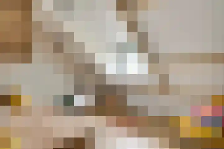 De Boech 12 Menaam thumbnail 22