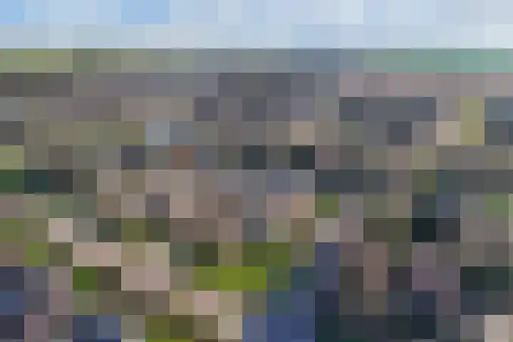 De Boech 12 Menaam thumbnail 25