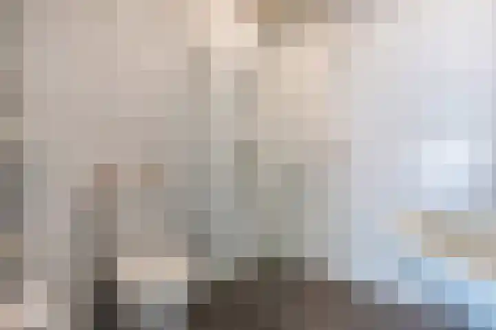 De Boech 12 Menaam thumbnail 30