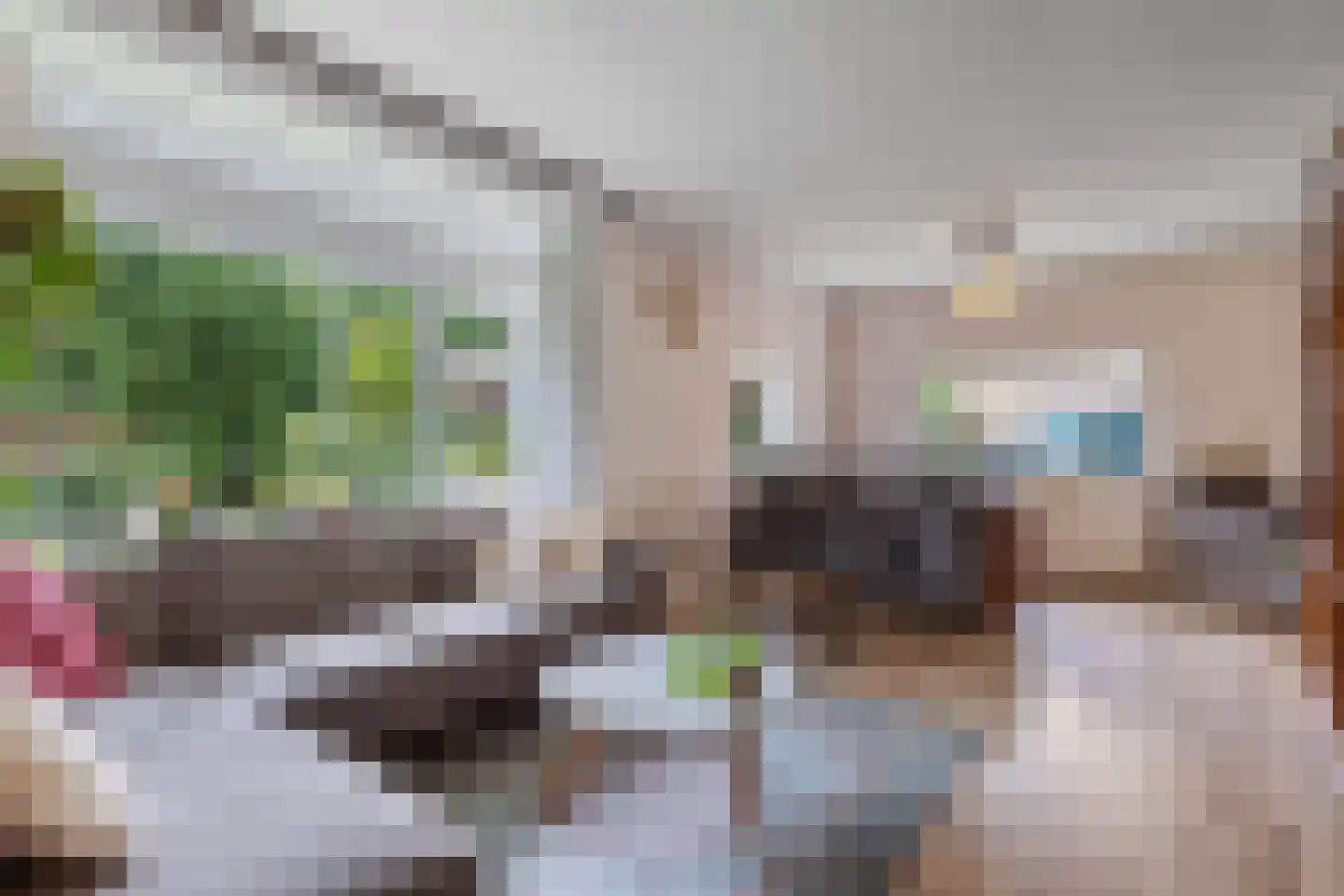 De Boech 26 Menaam thumbnail 11