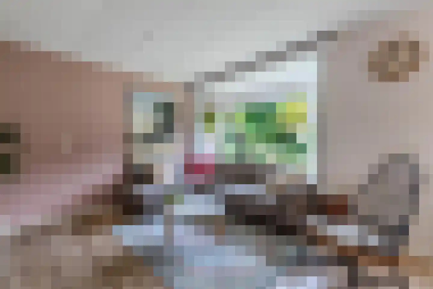 De Boech 26 Menaam thumbnail 12