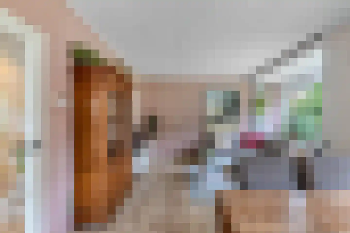 De Boech 26 Menaam thumbnail 16