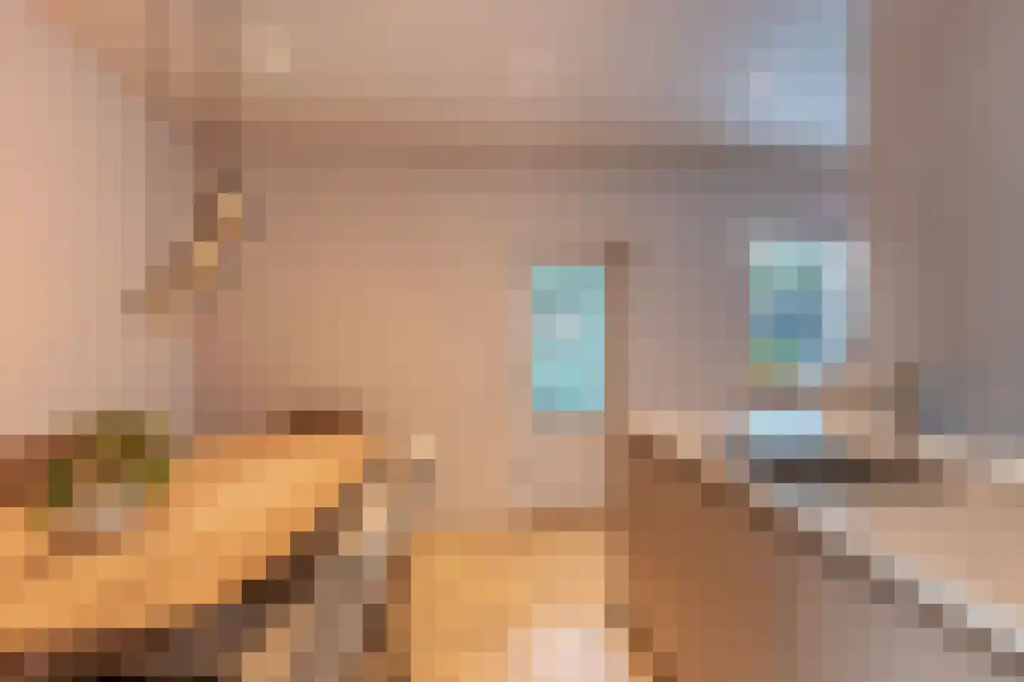 De Boech 26 Menaam thumbnail 21