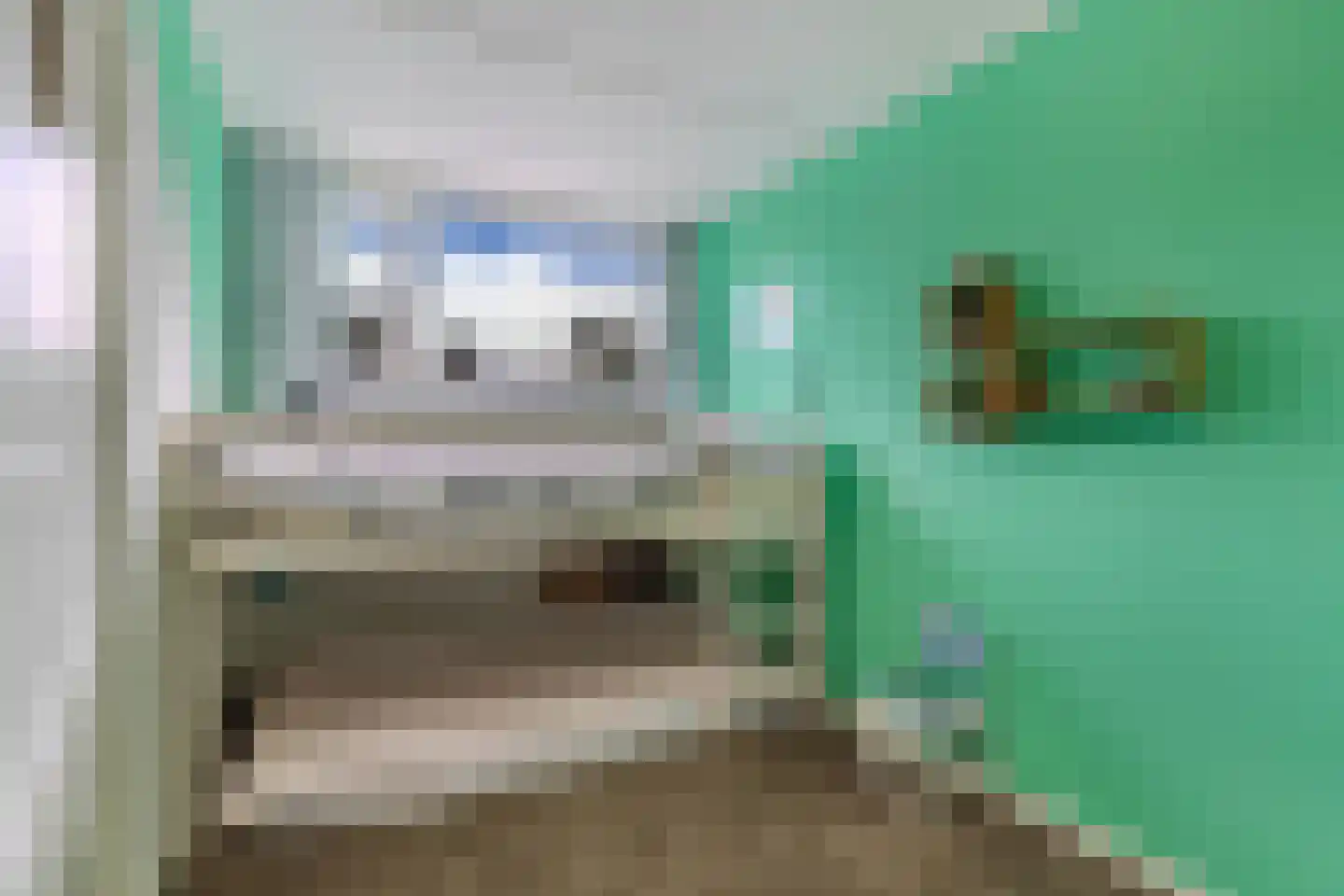 De Boech 26 Menaam thumbnail 29