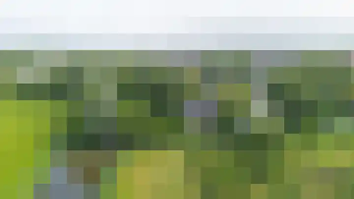 De Boech 27 Menaam thumbnail 100