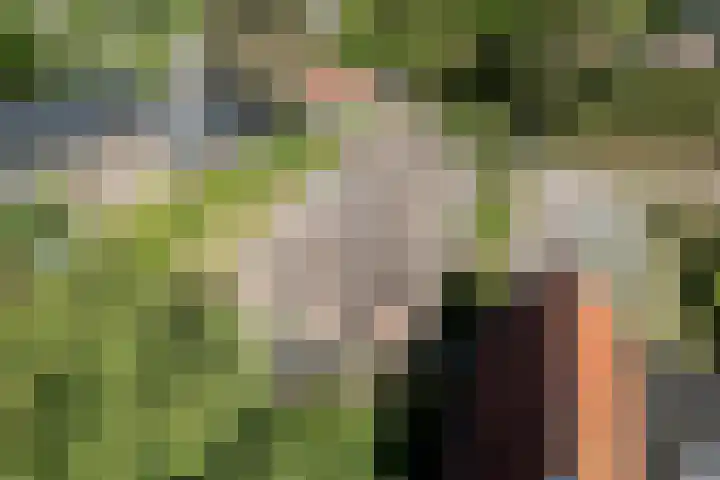 De Boech 27 Menaam thumbnail 101