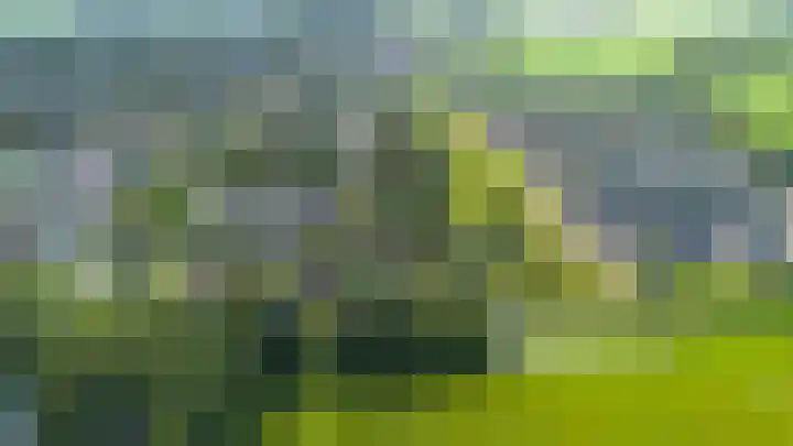 De Boech 27 Menaam thumbnail 103