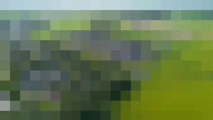 De Boech 27 Menaam thumbnail 104
