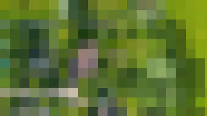 De Boech 27 Menaam thumbnail 105