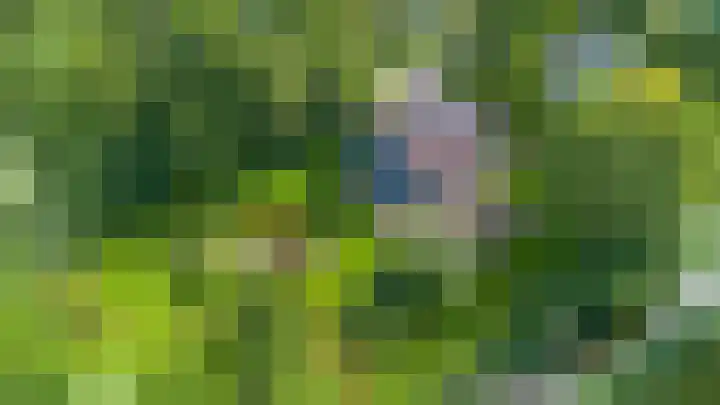 De Boech 27 Menaam thumbnail 109