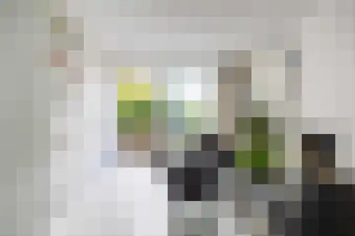 De Boech 27 Menaam thumbnail 16